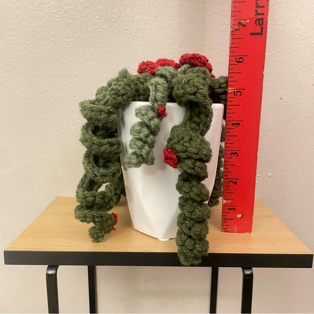 LD Yarn Creations Handmade Green & Red Crocheted Plant Décor – Approx 6” Tall - Picture 10 of 13